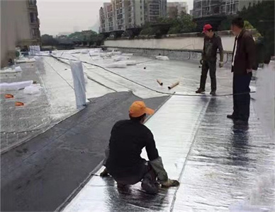微信图片_20221104202532.jpg