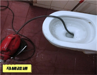 1732093432292730.jpg 微信图片_20230411204904.jpg